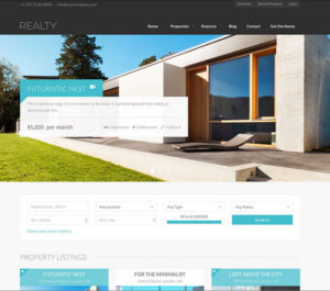 Custom Websites